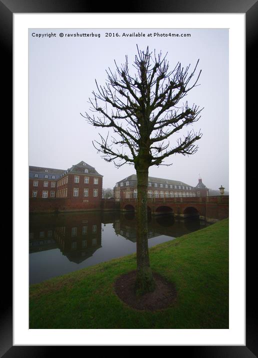 Single Tree At Schloss Nordkirchen Framed Mounted Print by rawshutterbug 