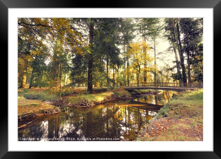Forest River Framed Mounted Print by Svetlana Sewell