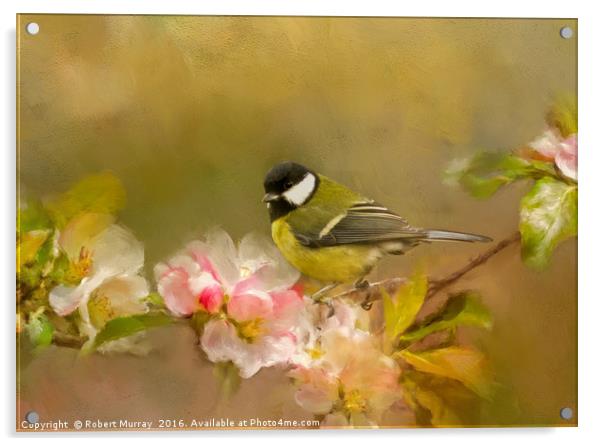 Great Tit Acrylic by Robert Murray