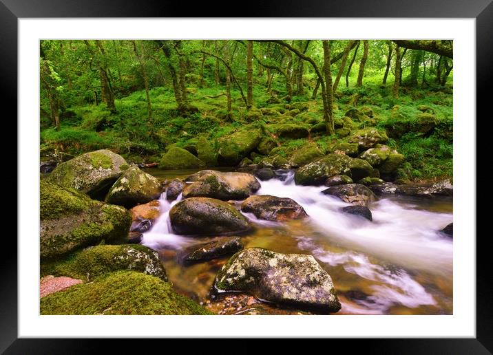River Plym, Devon                                  Framed Mounted Print by philip myers