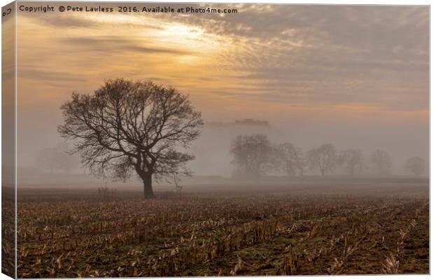 Beeston Castle in the mist   Canvas Print by Pete Lawless