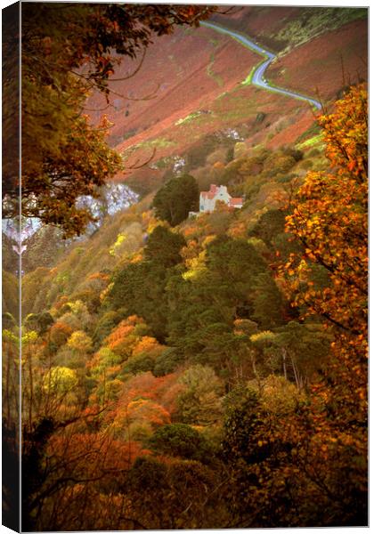 Autumn Colour on Countisbury Hill Canvas Print by graham young