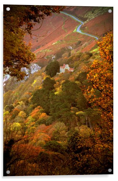 Autumn Colour on Countisbury Hill Acrylic by graham young