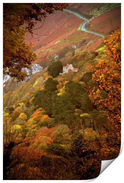 Autumn Colour on Countisbury Hill Print by graham young