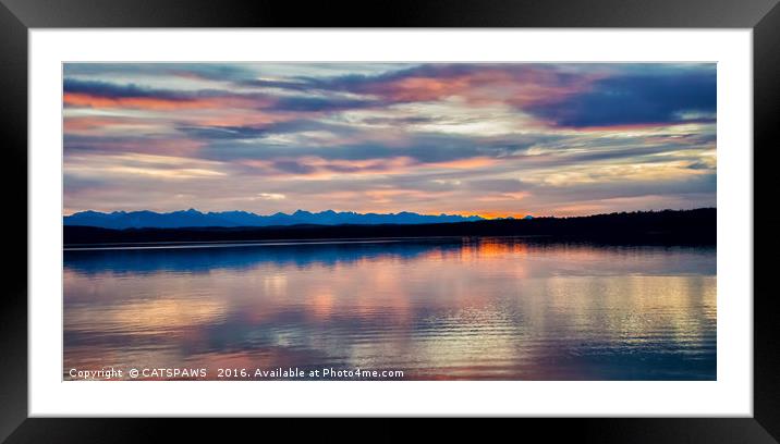 EVENING GLORY Framed Mounted Print by CATSPAWS 