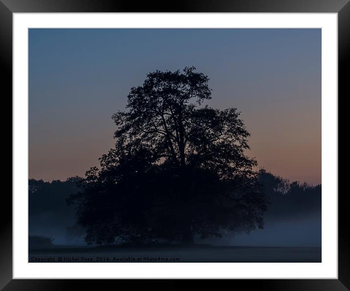 Misty Old Tree Framed Mounted Print by Nichol Pope