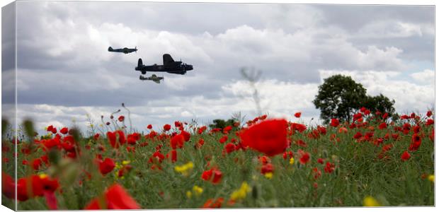 BBMF Over The Poppies Canvas Print by J Biggadike