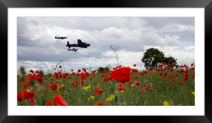 BBMF Over The Poppies Framed Mounted Print by J Biggadike