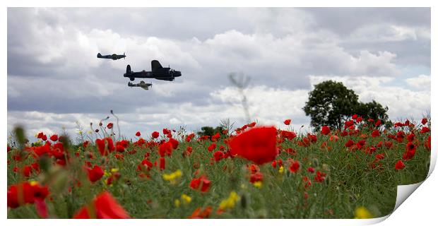 BBMF Over The Poppies Print by J Biggadike