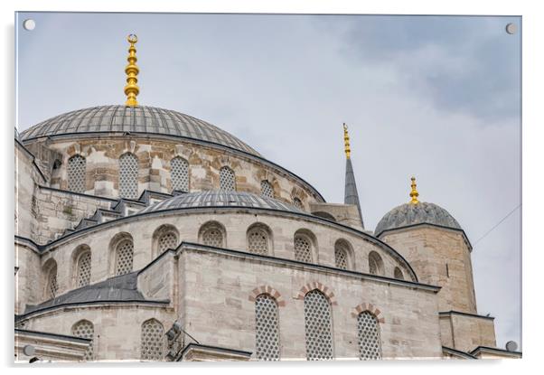 Blue Mosque in Istanbul Acrylic by Antony McAulay