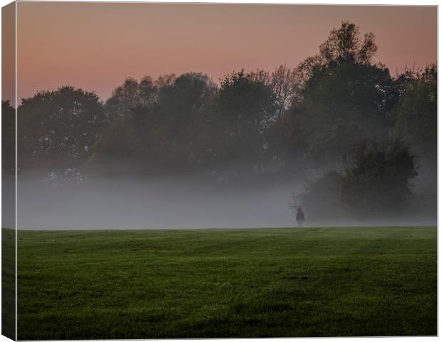Standing Alone in the Mist. Earlham Park, Norwich, Canvas Print by Nichol Pope