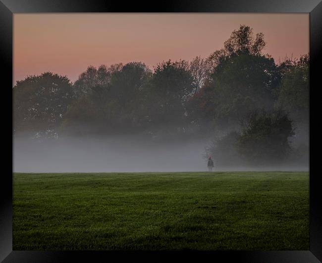 Standing Alone in the Mist. Earlham Park, Norwich, Framed Print by Nichol Pope