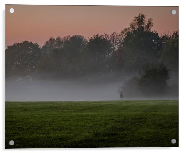 Standing Alone in the Mist. Earlham Park, Norwich, Acrylic by Nichol Pope