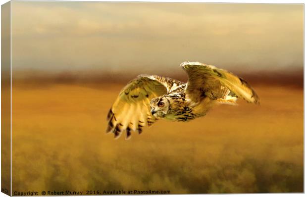 Eagle Owl Canvas Print by Robert Murray