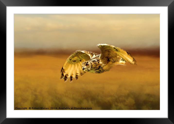 Eagle Owl Framed Mounted Print by Robert Murray