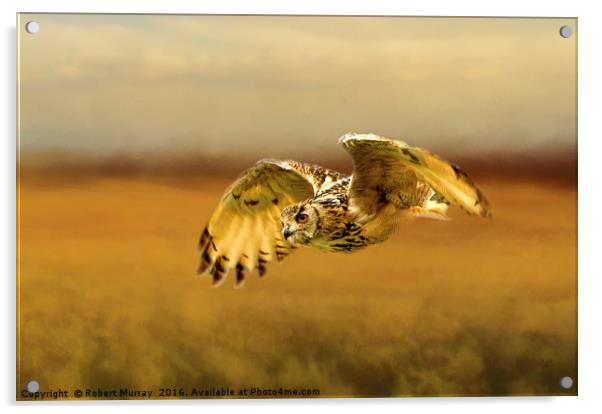 Eagle Owl Acrylic by Robert Murray