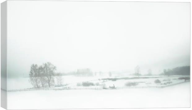 Winter rural landscape Canvas Print by Larisa Siverina