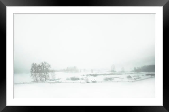 Winter rural landscape Framed Mounted Print by Larisa Siverina