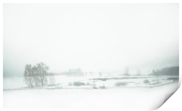 Winter rural landscape Print by Larisa Siverina