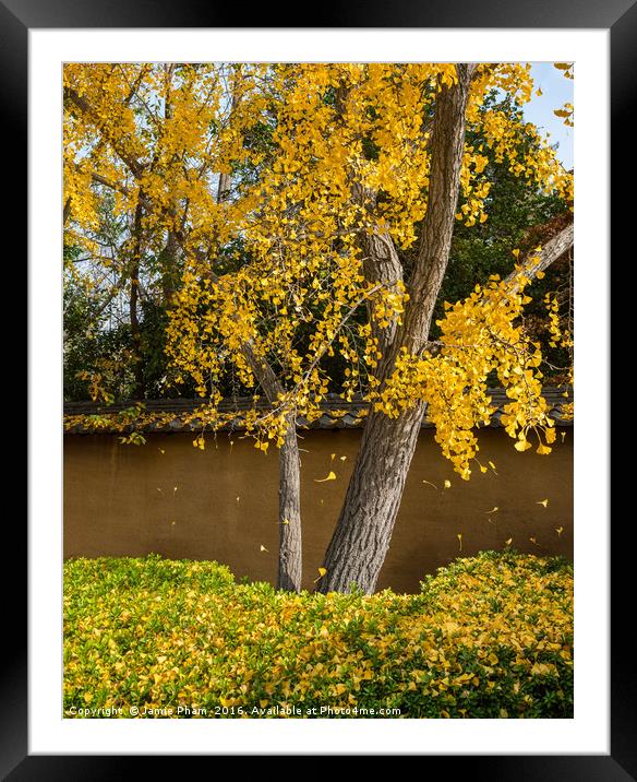 The beautiful fall colors of the Japanese Gardens Framed Mounted Print by Jamie Pham