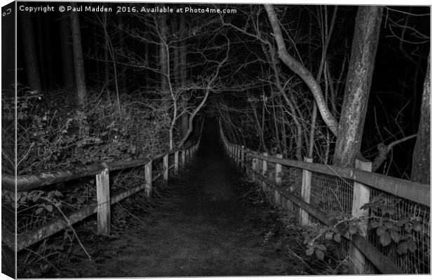 An unwelcoming path Canvas Print by Paul Madden