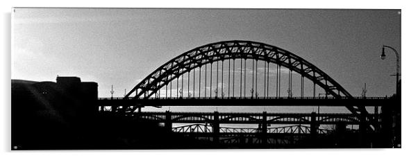 Bridges on the Tyne Acrylic by gary barrett