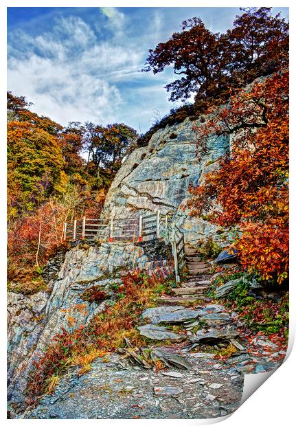 Autumn's Pastel Shades Print by David McCulloch