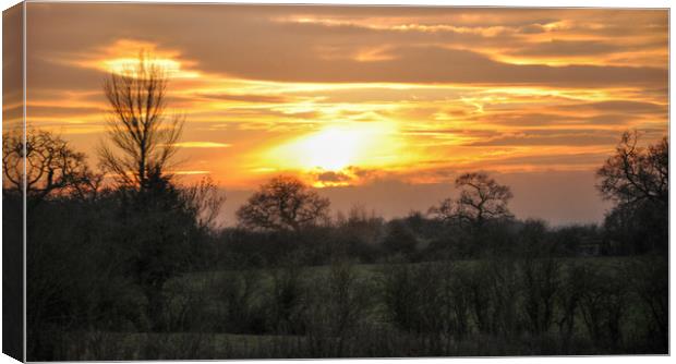 sunset over cheshire Canvas Print by sue davies