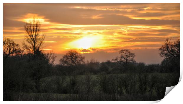 sunset over cheshire Print by sue davies