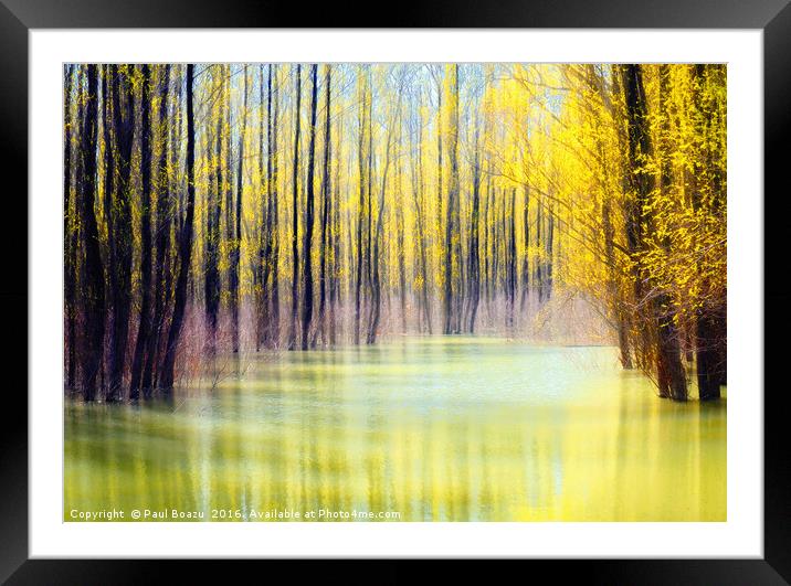 water eye of the forest Framed Mounted Print by Paul Boazu