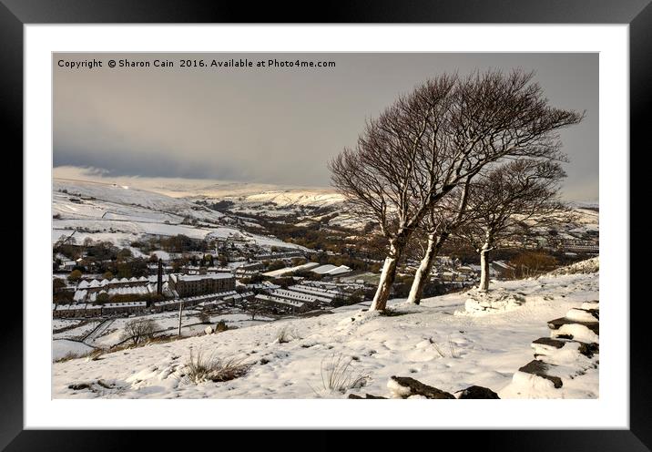 Windswept trees on the moors Framed Mounted Print by Sharon Cain
