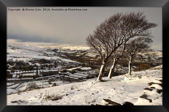 Windswept trees on the moors Framed Print by Sharon Cain