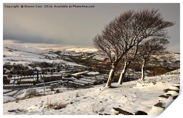 Windswept trees on the moors Print by Sharon Cain