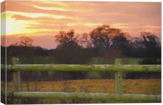 beyonf the fence Canvas Print by sue davies