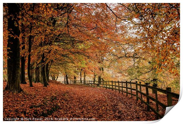 Ryburn in Autumn Print by Mark S Rosser