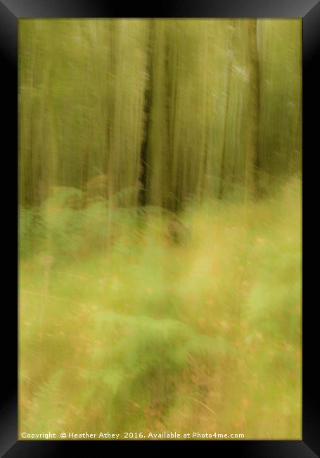 Autumn woodland Framed Print by Heather Athey