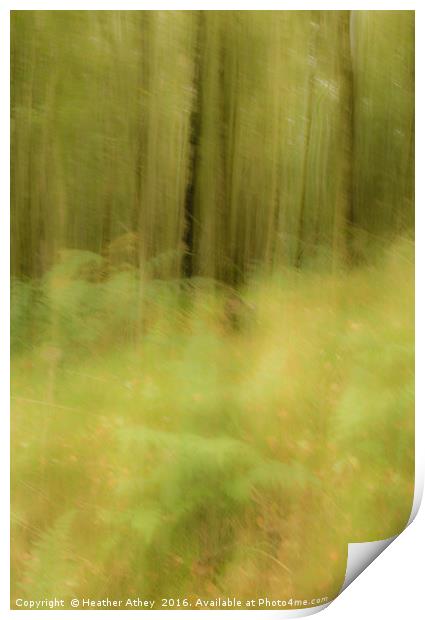 Autumn woodland Print by Heather Athey