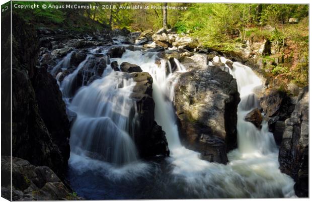 Black Linn Waterfall at the Hermitage in spring Canvas Print by Angus McComiskey