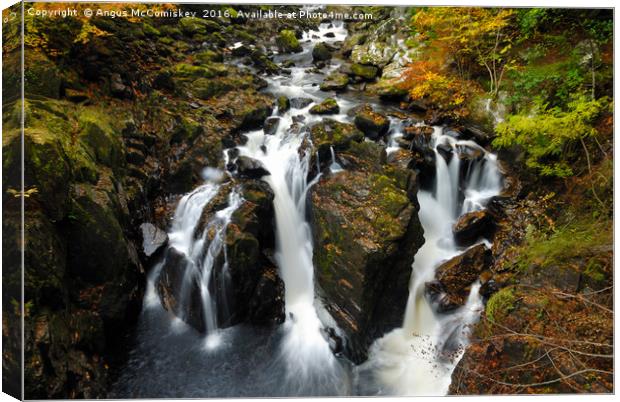 Black Linn Waterfall at the Hermitage in autumn Canvas Print by Angus McComiskey