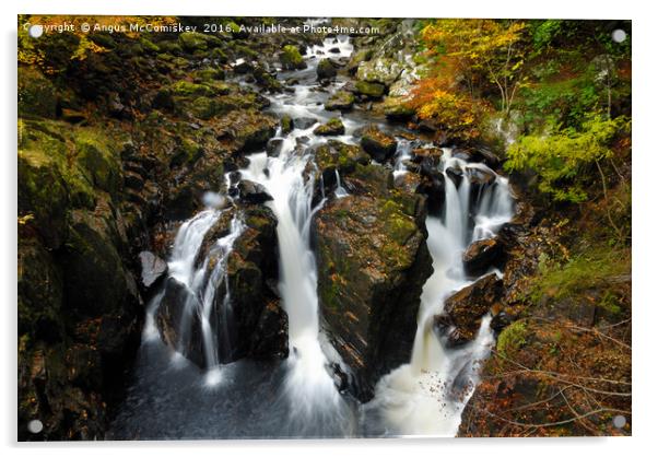 Black Linn Waterfall at the Hermitage in autumn Acrylic by Angus McComiskey