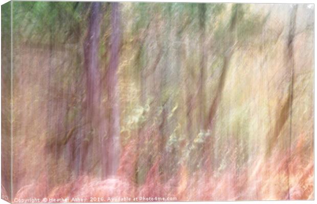 Autumn Woodland II Canvas Print by Heather Athey