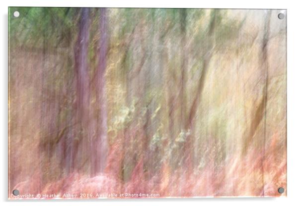Autumn Woodland II Acrylic by Heather Athey