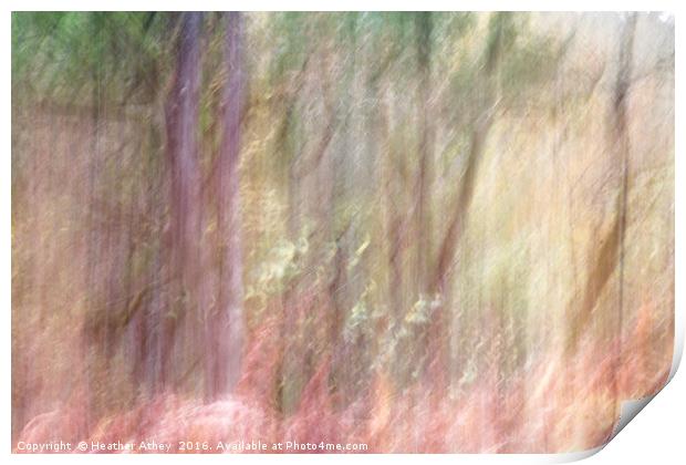 Autumn Woodland II Print by Heather Athey