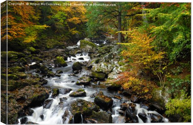 River Braan at the Hermitage in autumn Canvas Print by Angus McComiskey