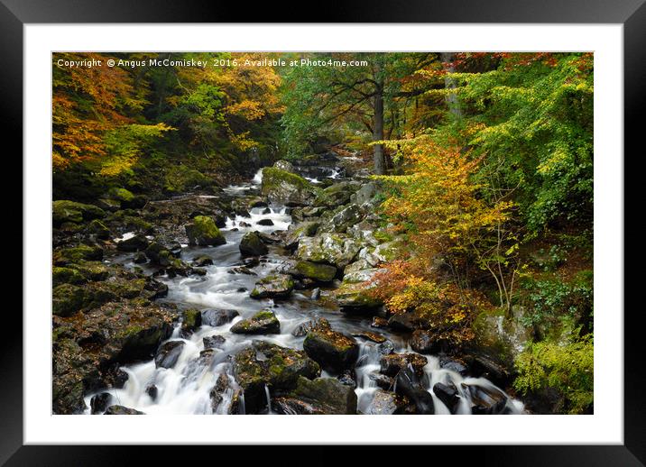 River Braan at the Hermitage in autumn Framed Mounted Print by Angus McComiskey