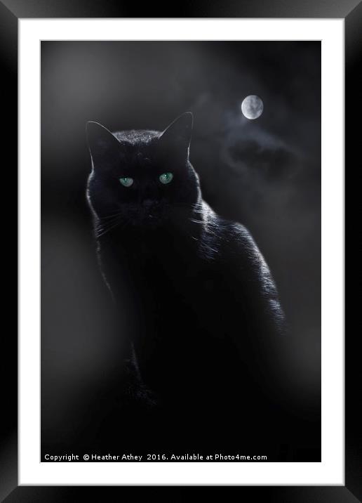 Black Cat in Moonlight Framed Mounted Print by Heather Athey