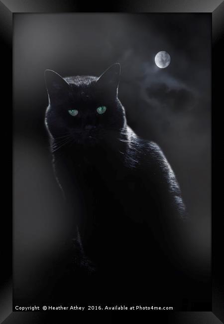 Black Cat in Moonlight Framed Print by Heather Athey