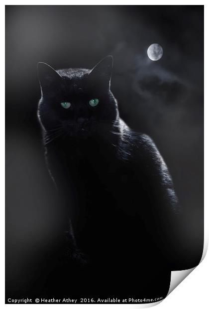 Black Cat in Moonlight Print by Heather Athey