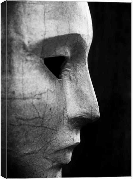 the mask that hides pain Canvas Print by paul haylock