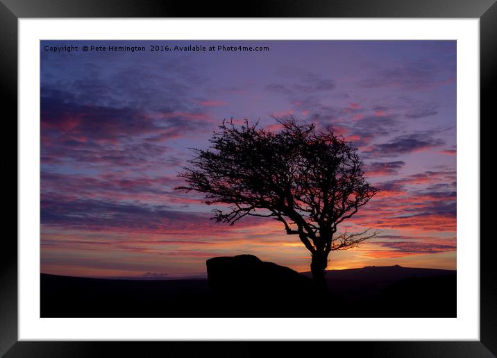 Lone tree near Holwell Tor on Dartmoor Framed Mounted Print by Pete Hemington